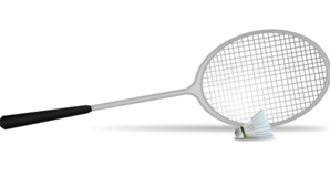 La FFBAD monte au filet avec ArcGIS Online La FFBAD monte au filet avec ArcGIS Online