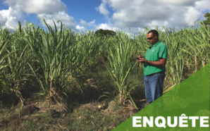 Espace Sud Martinique : Satisfaire aux besoins des métiers et des élus Espace Sud Martinique : Satisfaire aux besoins des métiers et des élus