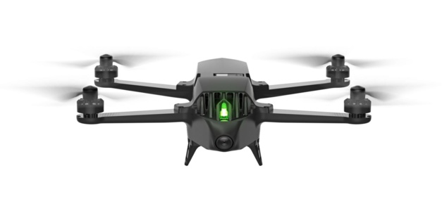 Parrot Bluegrass Fields Parrot Bluegrass Fields