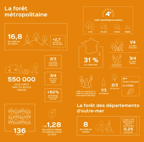 © IGN 2019 © IGN 2019