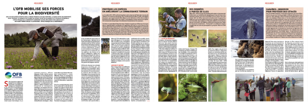 L’OFB mobilise ses forces pour la biodiversité