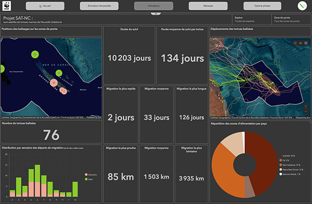 Cartographie pour le suivi des tortues Cartographie pour le suivi des tortues