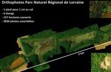 La nature lorraine en ultra HD La nature lorraine en ultra HD