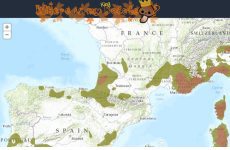 Envie d’une omelette ? Envie d’une omelette ?