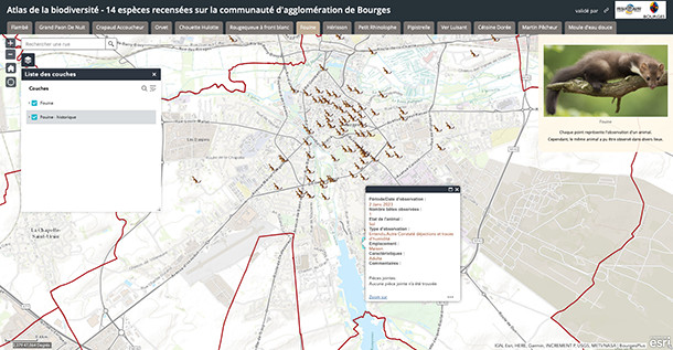 Chercher la petite bête Chercher la petite bête