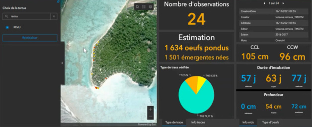 Chasse aux oeufs Chasse aux oeufs