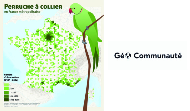 Cartes créatives Cartes créatives