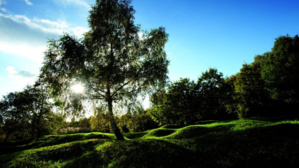 Verdun sur les Champs Verdun sur les Champs