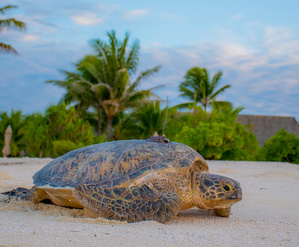 Découvrez le sommaire du SIGMAG 47, numéro de décembre 2025 Découvrez le sommaire du SIGMAG 47, numéro de décembre 2025