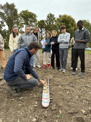 Géographes pour les territoires