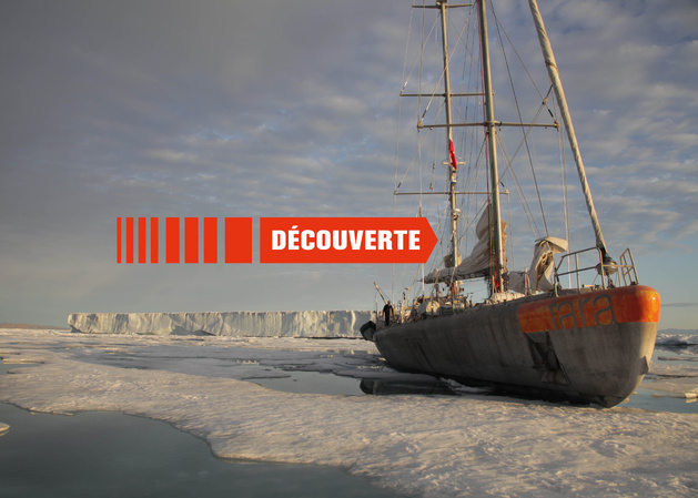 Une odyssée des glaces du grand nord aux coraux Une odyssée des glaces du grand nord aux coraux