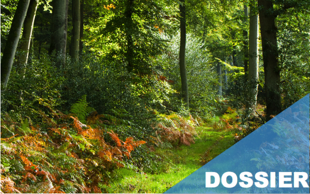 Forêts : l'appel 2.0 du SIG Forêts : l'appel 2.0 du SIG