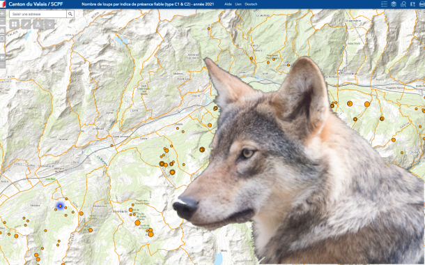 Loup, y-es-tu ? Des troupeaux en sécurité grâce aux SIG