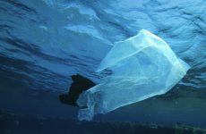 Nouvelle expédition contre le plastique