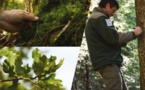 Inventaire forestier 2019 : nos ressources augmentent