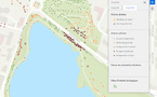 Bien gérer le patrimoine arboré